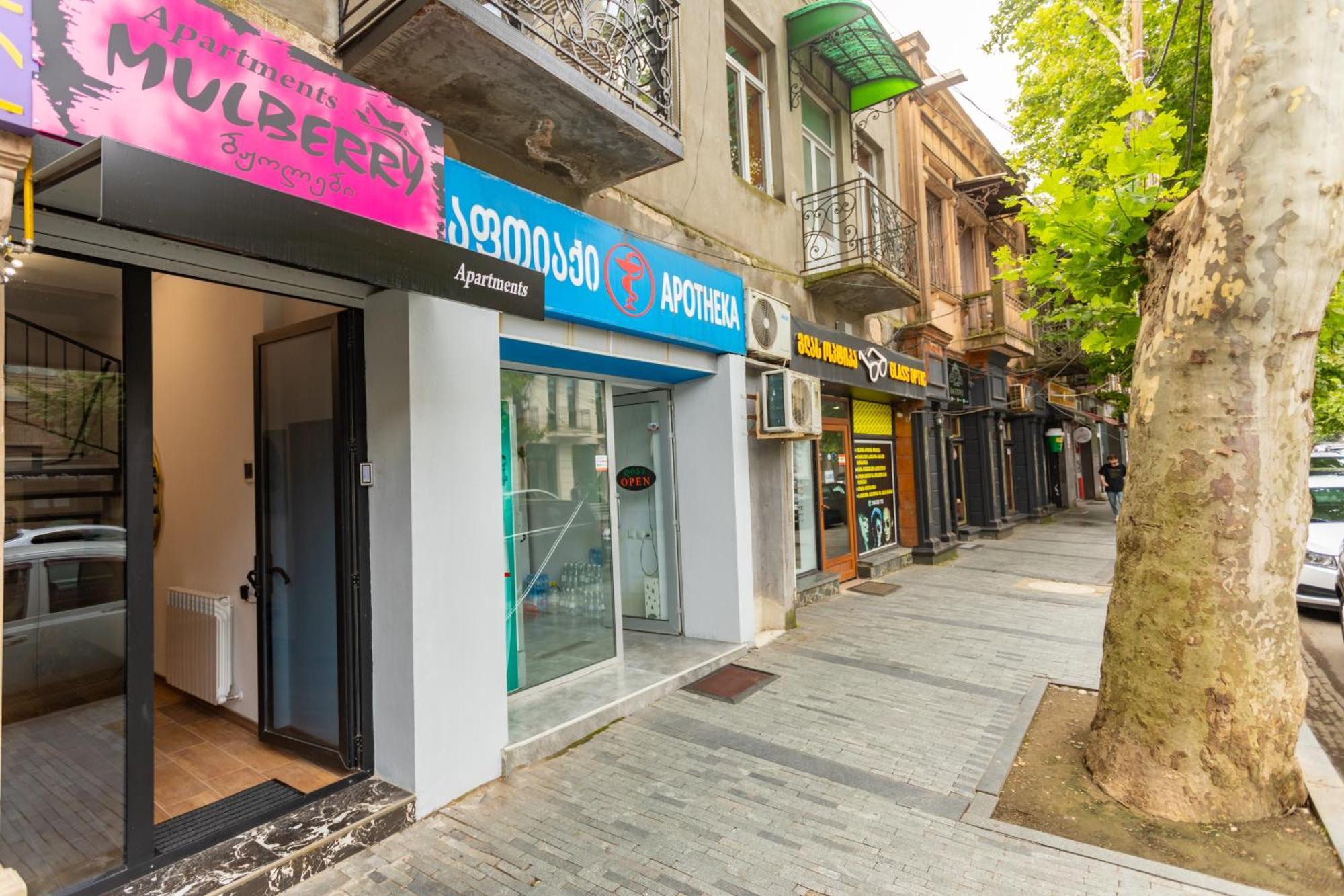 Mulberry Ბჟოლები Apartment Kutaisi Bagian luar foto